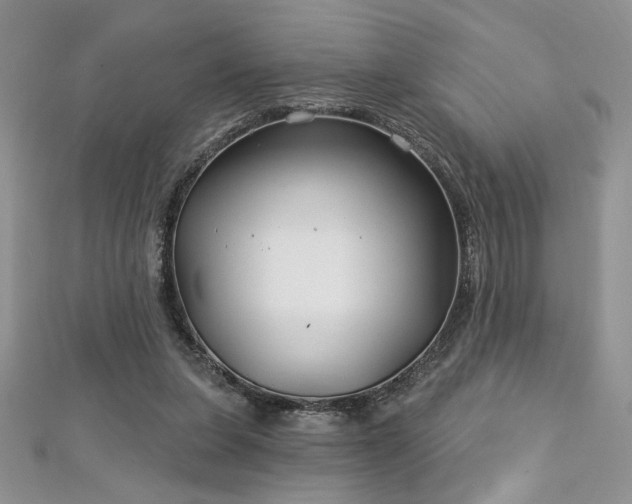 X0000113160255200909041301