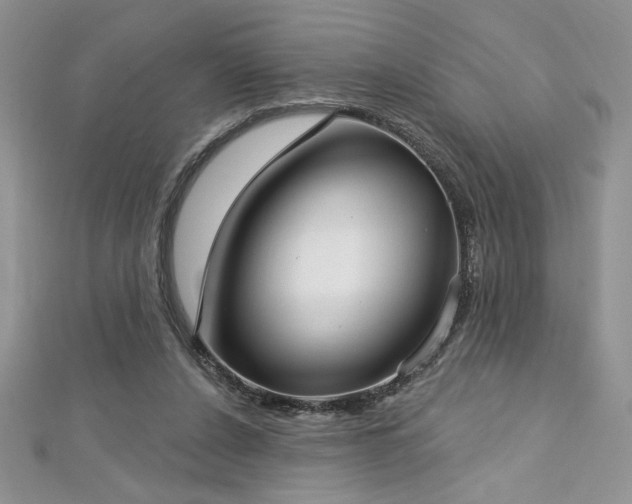 X0000113160256200909041301