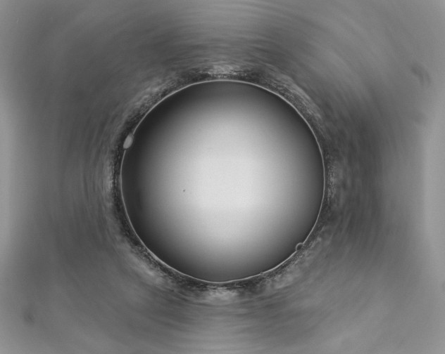 X0000113160257200909041301