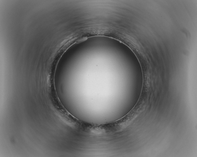 X0000113160258200909041301