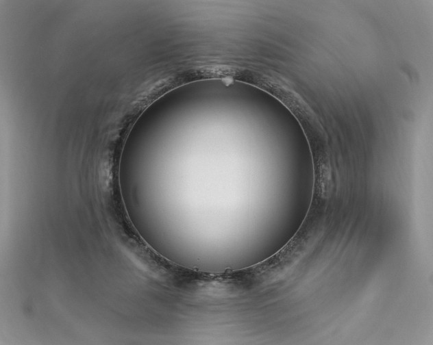 X0000113160259200909041301