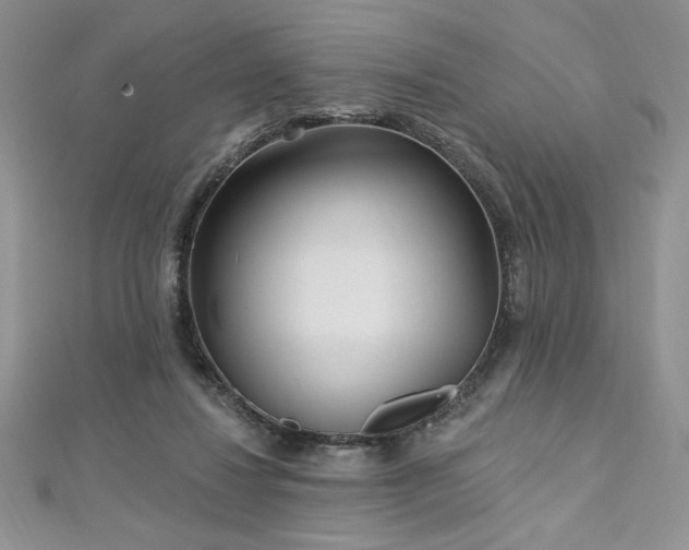 X0000113160260200909041301