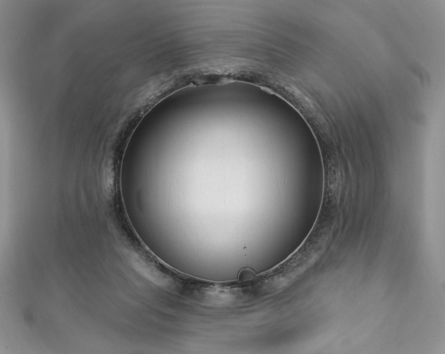 X0000113160261200909041301