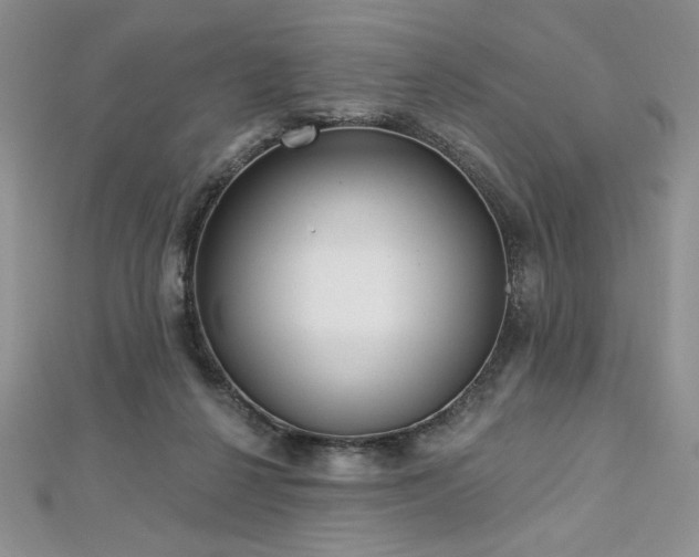 X0000113160264200909041301