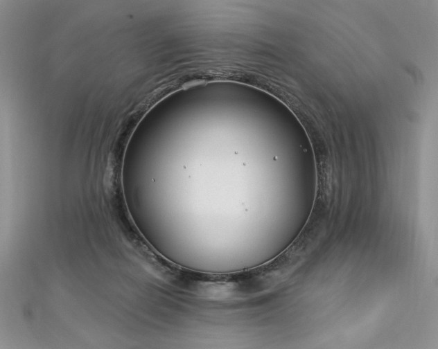 X0000113160266200909041301