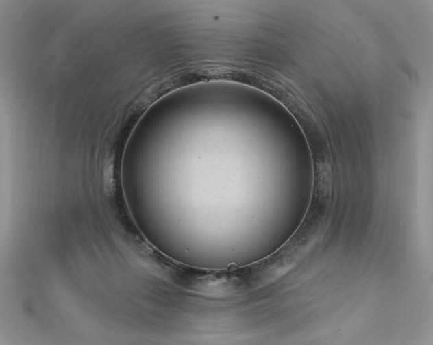 X0000113160267200909041301