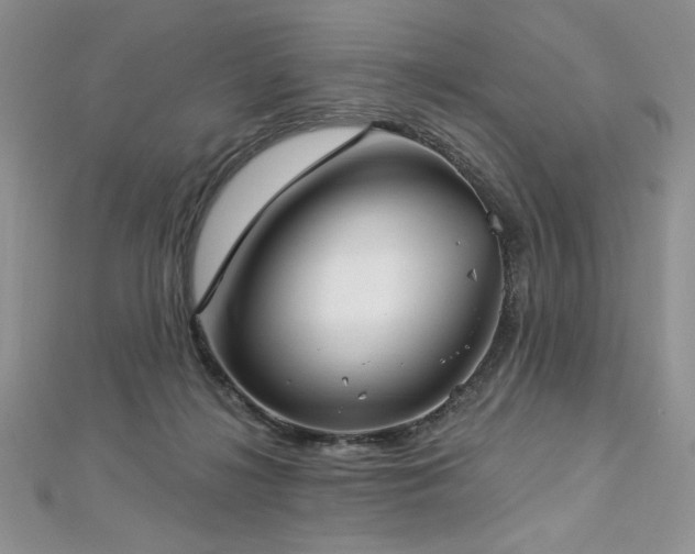 X0000113160268200909041301