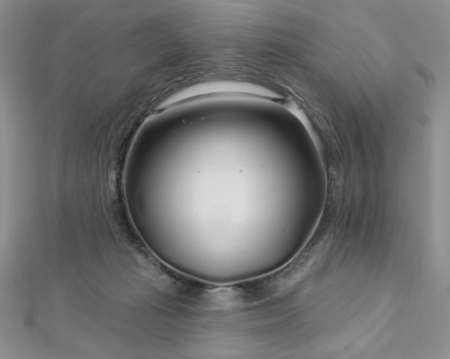 X0000113160269200909041301