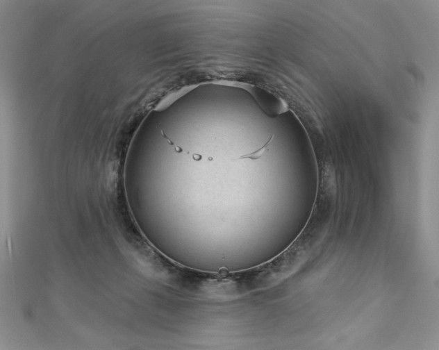 X0000113160271200909041301