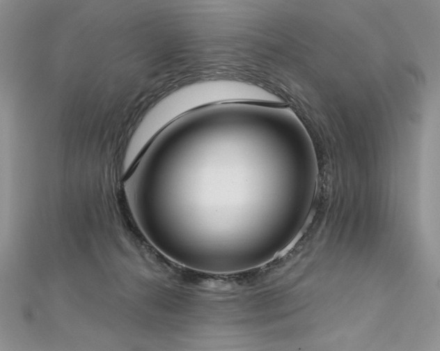 X0000113160272200909041301