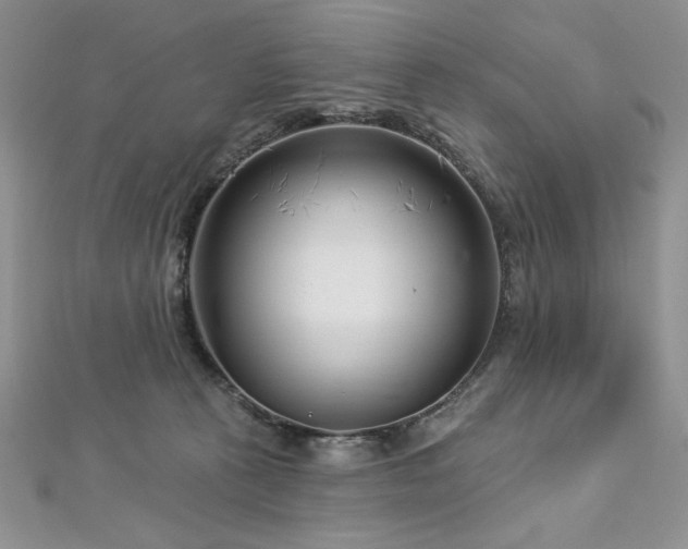 X0000113160273200909041302