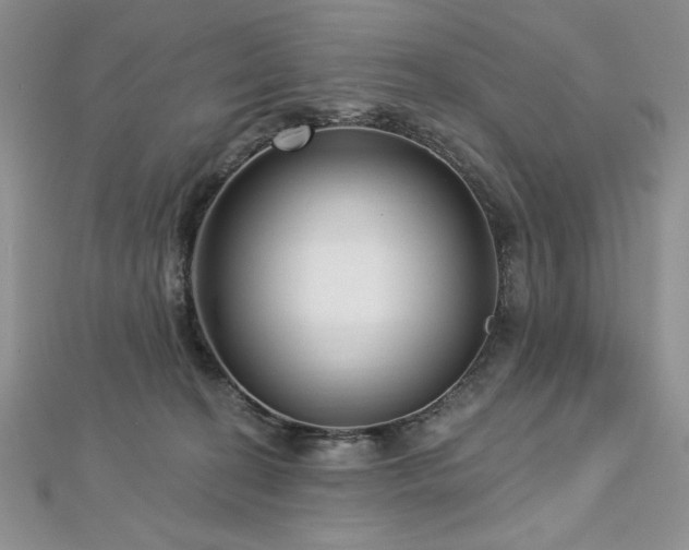 X0000113160274200909041302