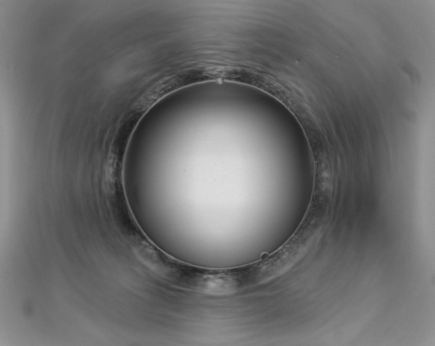 X0000113160275200909041302