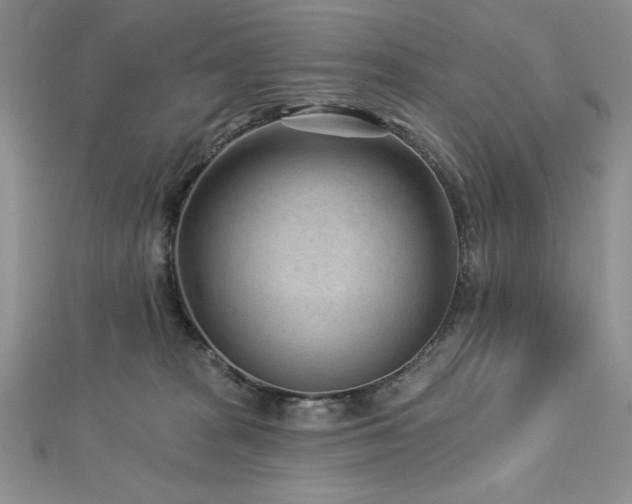 X0000113160277200909041302