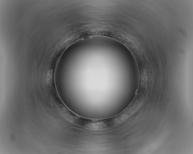 X0000113160278200909041302