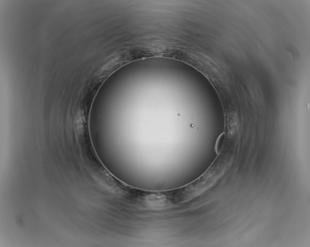 X0000113160279200909041302