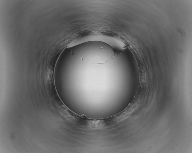 X0000113160281200909041302