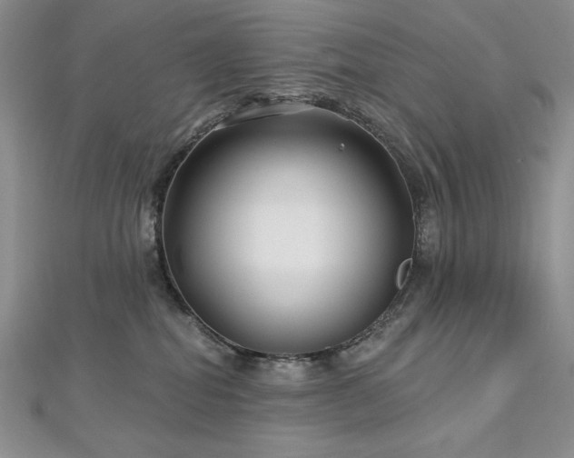 X0000113160282200909041302