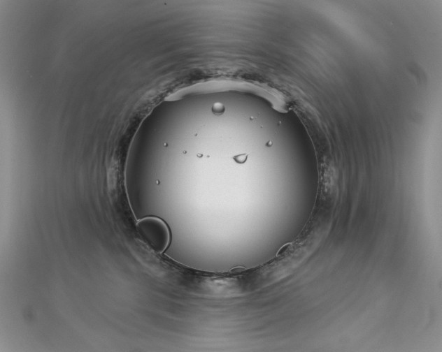 X0000113160283200909041302