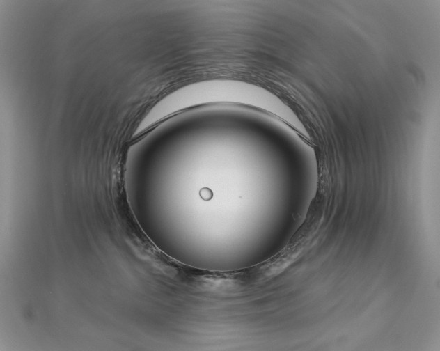 X0000113160284200909041302