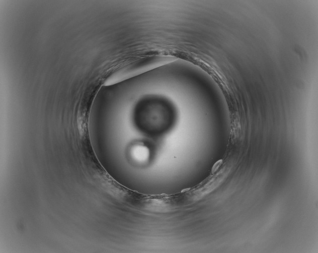 X0000113160285200909041302