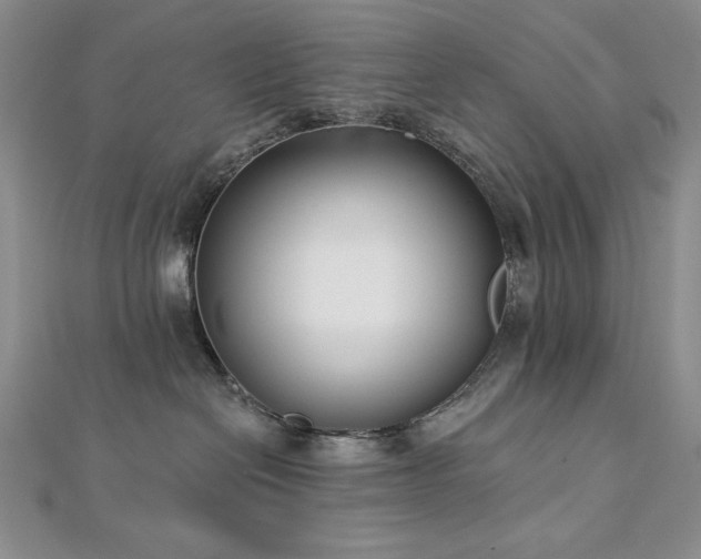 X0000113160286200909041302