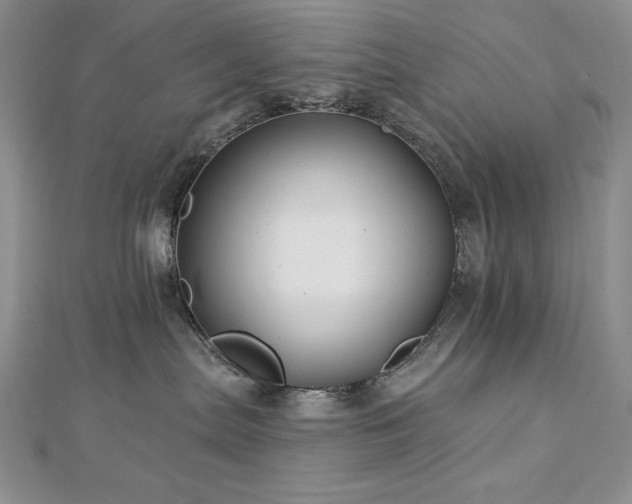 X0000113160287200909041302