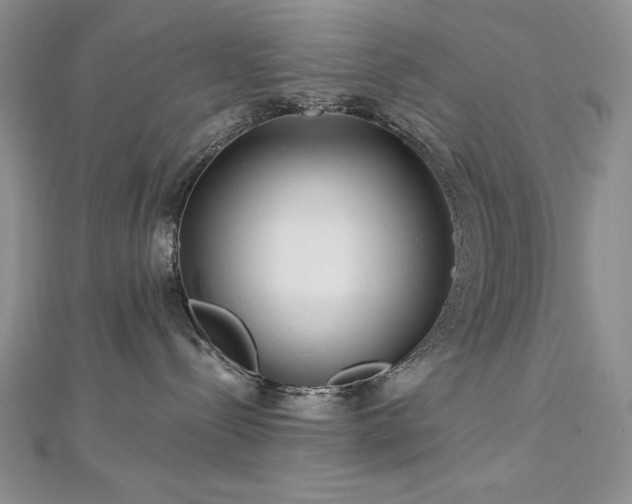 X0000113160288200909041302