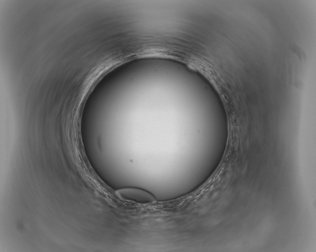 X0000113160289200909041301