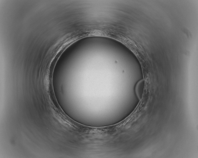 X0000113160290200909041301