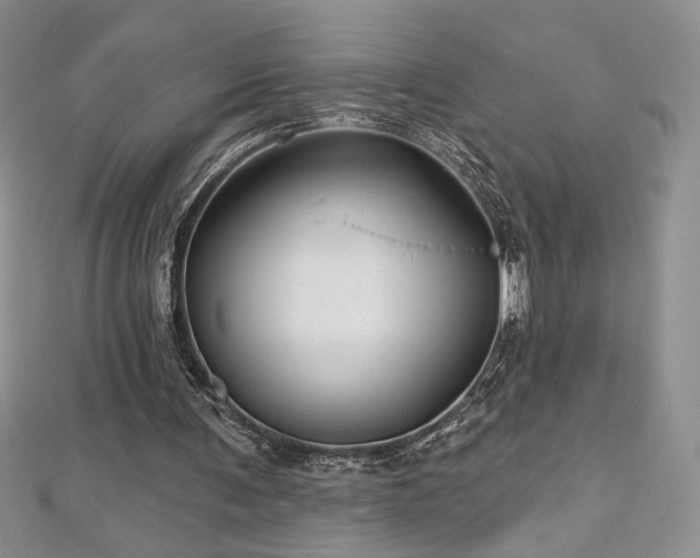 X0000113160291200909041301