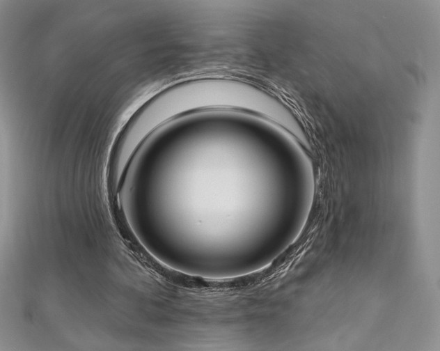 X0000113160292200909041301