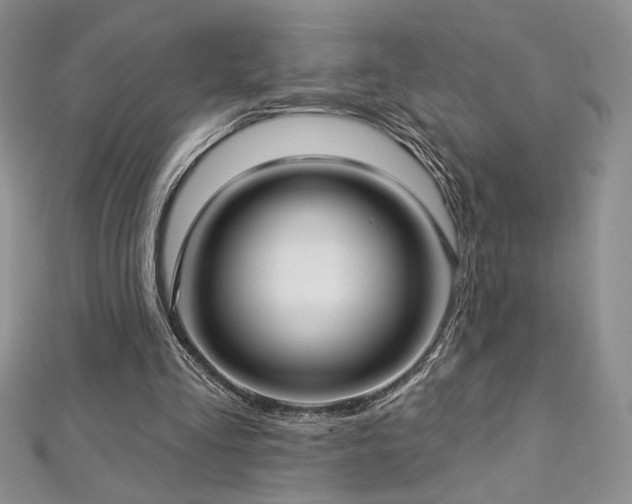 X0000113160293200909041301