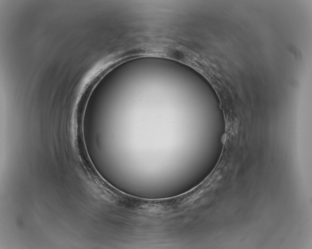 X0000113160294200909041301