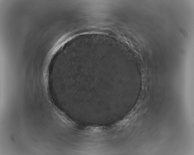 X0000113160295200909041301