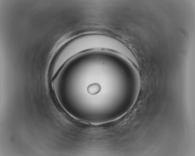 X0000113160296200909041301