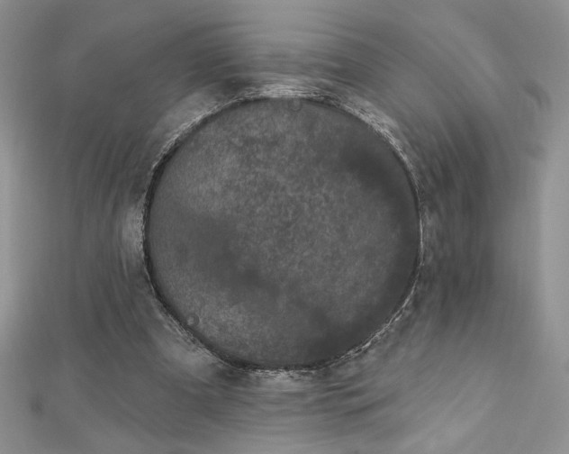 X0000113160297200909041301