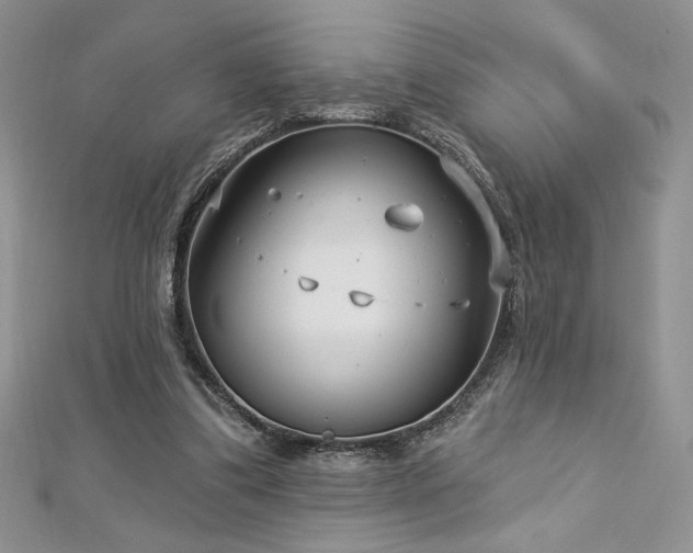 X0000113160299200909041301