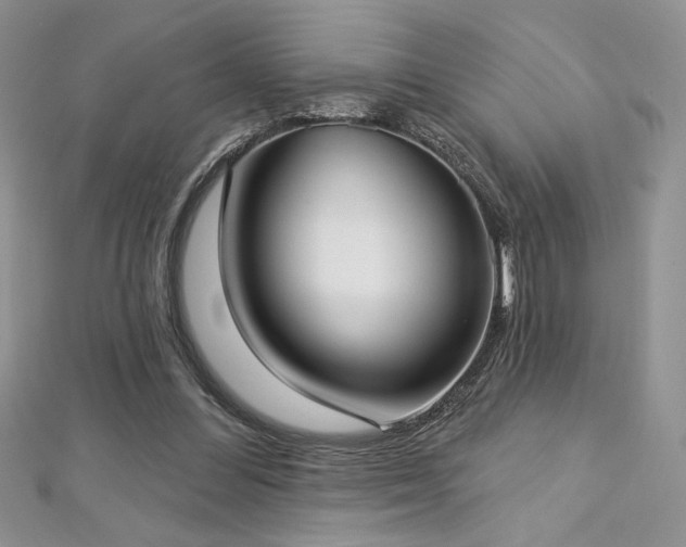 X0000113160300200909041301