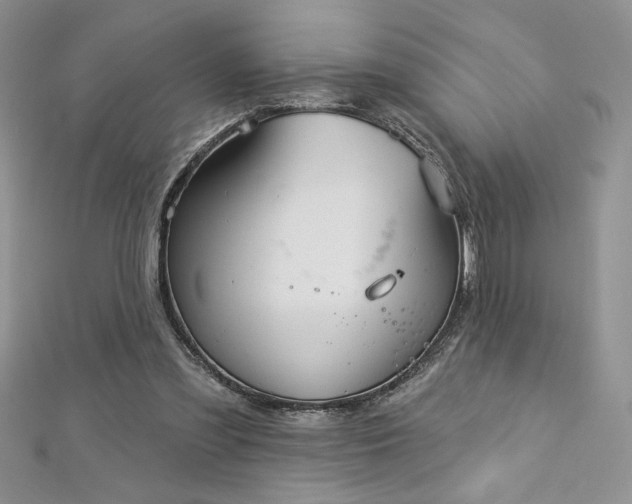 X0000113160301200909041301