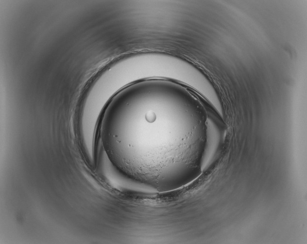 X0000113160302200909041301