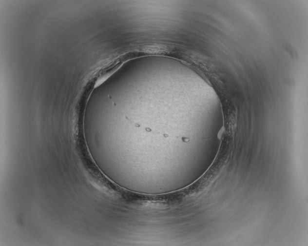 X0000113160303200909041301