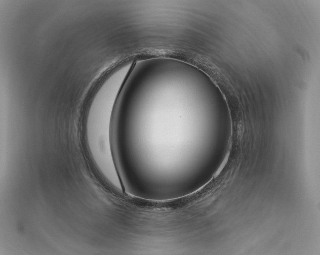 X0000113160304200909041301