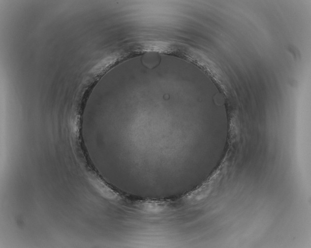 X0000113160305200909041301