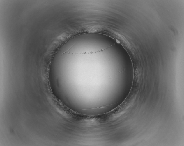 X0000113160307200909041301