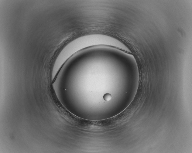 X0000113160308200909041301