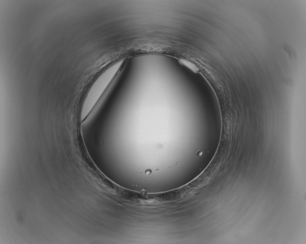 X0000113160309200909041301