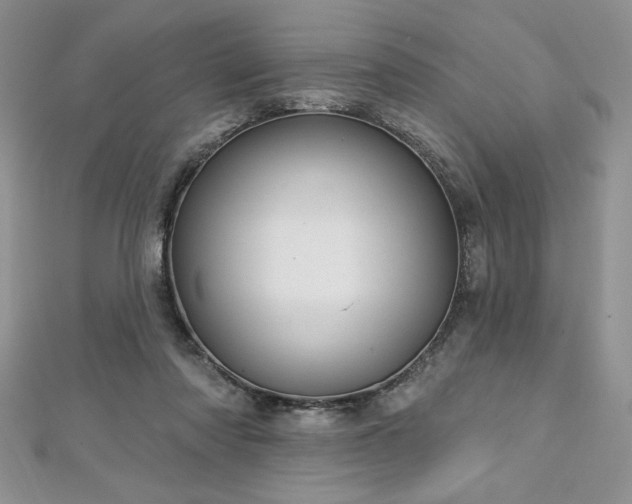 X0000113160310200909041301