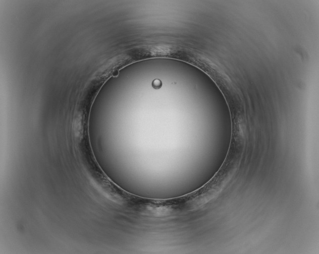 X0000113160311200909041301