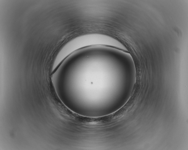 X0000113160312200909041301